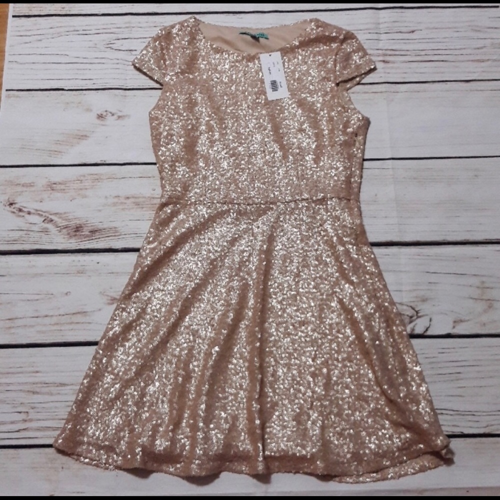 Alice Blue Cap sleeve sequin dress NWT